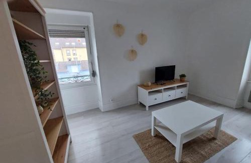 Belfort Apartamento | Le Guebwiller proche centre
