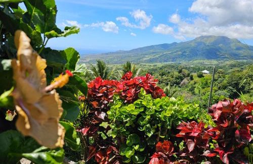 Fonds Saint Denis Casa | Le Hameau du Morne des Cadets