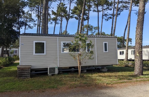 Saint-Julien-en-Born Otro | Le HETRE " Camping Les Dunes De Contis " St Julien en Born