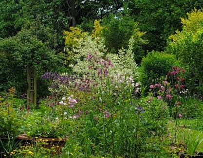 Saint-Fraimbault Cama Y Desayuno | Le Jardin des Papillons, gîte et chambre d'hôtes à Saint Fraimbault