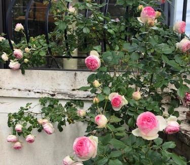 Beaune Cama Y Desayuno | Le jardin des Vérottes