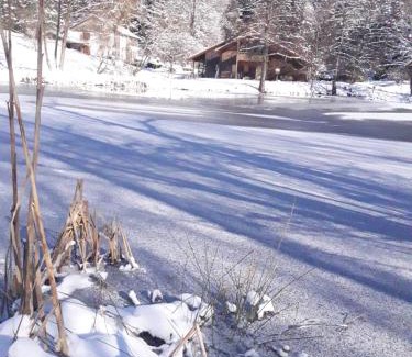 La Chapelle-devant-Bruyeres Chalet De Esquí | Le Kota Montagne