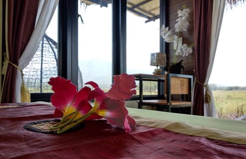 Lom Sak Hotel | Le Kuna Farm Stay