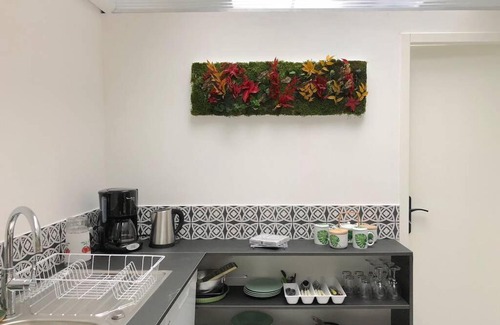 Mulhouse Apartamento | Le Little Garden Mulhouse