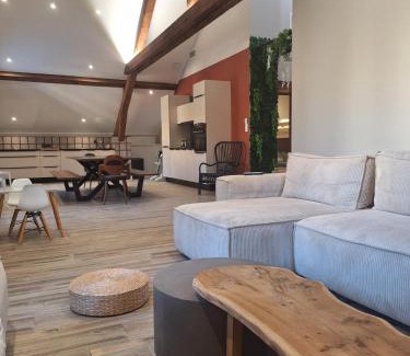 Aix-les-Bains City Center Apartamento | Le Loft du Centre Ville