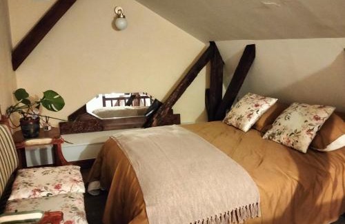 Chinon Apartamento | Le logis de Bodard