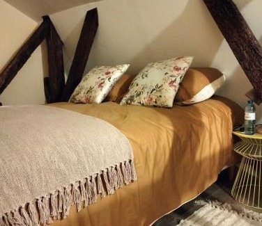 Chinon Apartamento | Le logis de Bodard