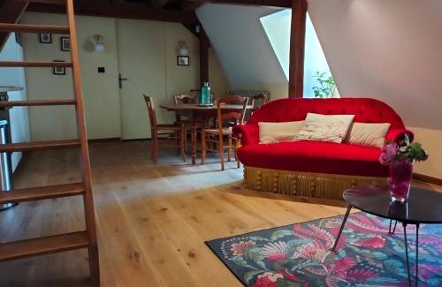 Chinon Apartamento | Le logis de Bodard