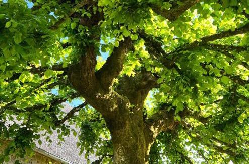 Chabrignac Cama Y Desayuno | Le manoir de Jasmine