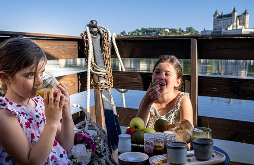 Saumur Alquiler De Eote | Le Martin Pêcheur: Luxury ecolodge boat