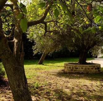 Loriol-sur-Drome Casa | Le Mas des deux Soleils