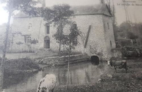 Montsurs Casa | LE MOULIN DE MERAL