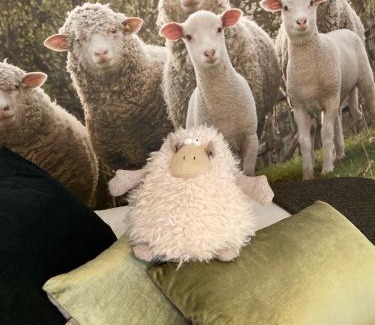 Aubagne Apartamento | Le Mouton à 5 Pattes Aubagne-Cassis-Aix en Provence