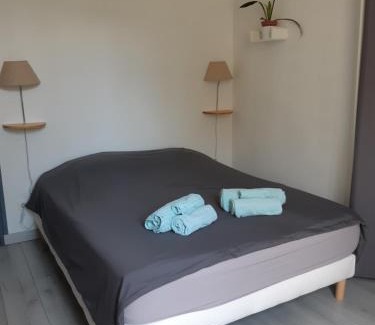 Chinon Apartamento | Le murier ensoleillé