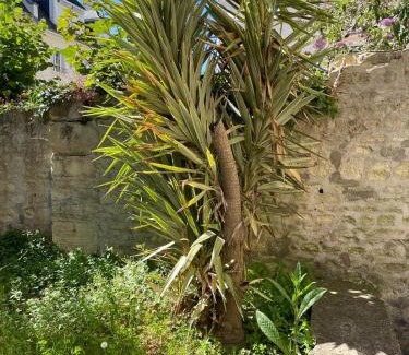 Saint-Jean Eudes Saint-Gilles Apartamento | Le Nid d Abbaye