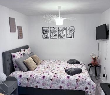 Kable Apartamento | Le Patcho Charmant studio Confortable & Chaleureux , idéalement situé proche centre ville Quartier Neustadt Tribunal, Contades