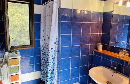 La Crau Casa | Le Patio Bleu