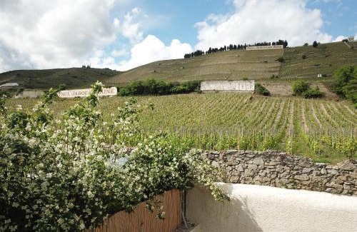 Tain-l'Hermitage Casa | Le Pavillon de l'Hermitage - Spa ouvert d'Avril à Octobre