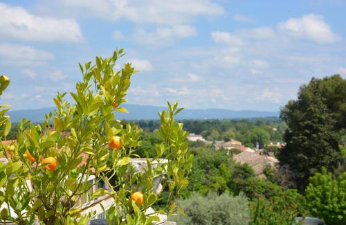Chateauneuf-de-Gadagne Cama Y Desayuno | Le Petit Chateau