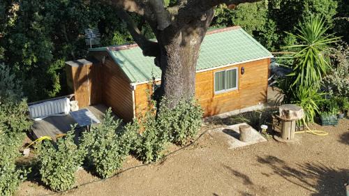 Grosseto-Prugna Chalet De Esquí | Le petit chalet