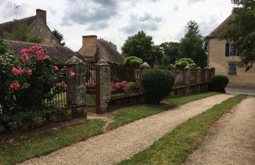 Couleuvre Casa | Le Petit Dauphin