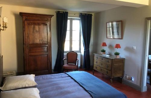 Couleuvre Casa | Le Petit Dauphin