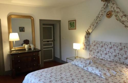 Couleuvre Casa | Le Petit Dauphin
