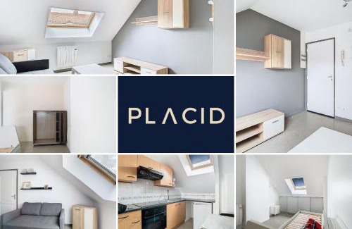 Vitry-en-Artois Apartamento | Le petit repos