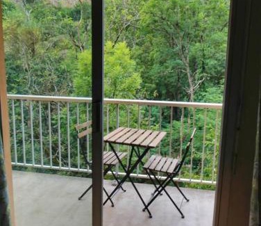Savignac-les-Ormeaux Apartamento | Le petit skieur