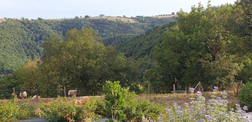 Centres Casa | Le Petit Suc