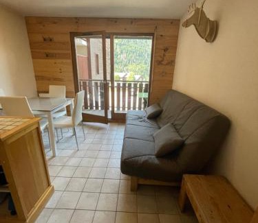Saint-Jean-dʼAulps Apartamento | Le Pied des Pistes A13, Joli Studio tout confort 4 pers, vue vallée imprenable, DRAPS NON COMPRIS