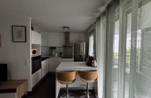 Annecy Apartamento | Le Piou Vert