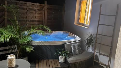 Sainte-Clotilde Centre Casa | Le Pluméria - T1 avec un SPA privatif