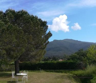 Laroque-des-Alberes Apartamento | Le Quatorze