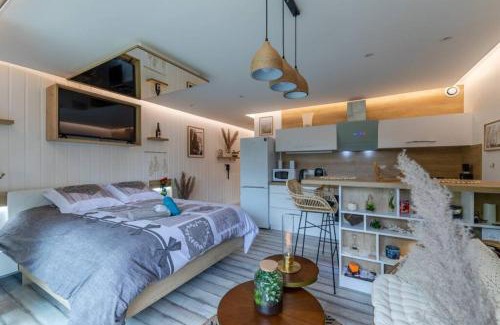 Voiron Apartamento | LE QUINTESSENCE: Balnéo & Luminothérapie + parking