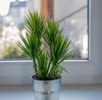 Chateaudun Apartamento | Le Refuge des Grands Rassemblements