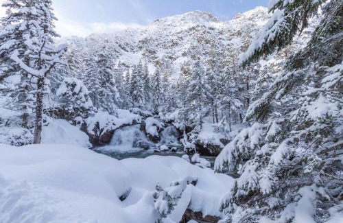 Cauterets Chalet De Esquí | Le Refuge des Isards - Chalet familial