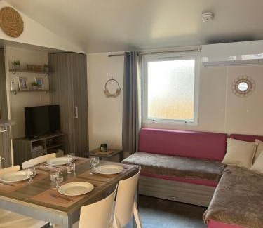 Claouey Complejo | Le Refuge du Bassin - Mobil-home 6 personnes 40m2