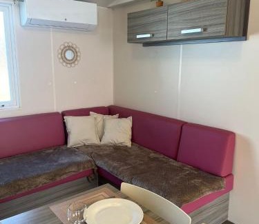 Claouey Complejo | Le Refuge du Bassin - Mobil-home 6 personnes 40m2