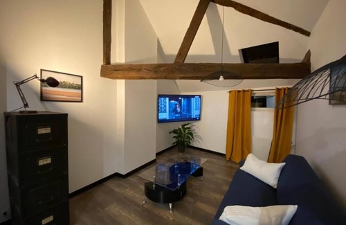 Saumur Apartamento | Le repère de Bacchus: apartment 2 steps from the pedestrian center of Saumur