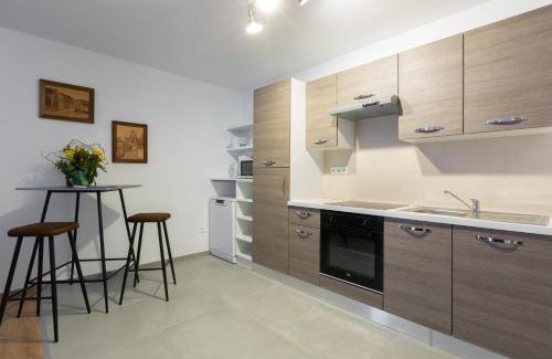 Selestat Apartamento | LE RHENANUS Jacques Taurellus - appartement duplex au calme - centre ville - parking gratuit