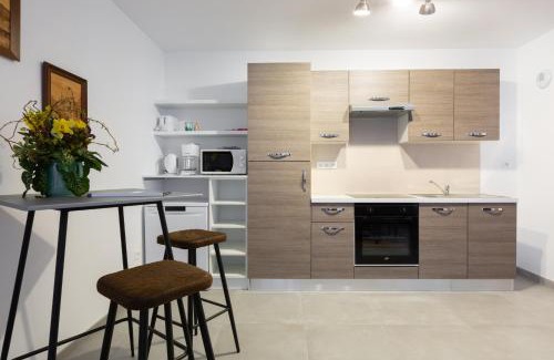 Selestat Apartamento | LE RHENANUS Jacques Taurellus - appartement duplex au calme - centre ville - parking gratuit