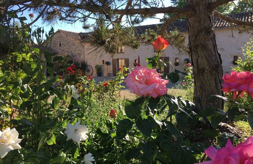 Sauze-Vaussais Cabaña | Le Roitelet - casa rural con piscina