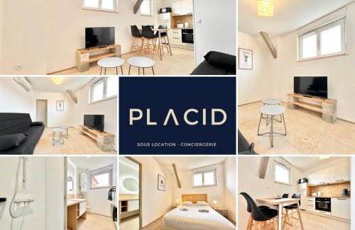 Mont-de-Marsan Apartamento | Le Ronsard - Élégance - Central