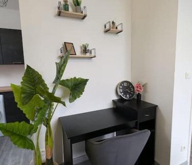 Chinon Apartamento | Le Ronsard, vue sur forteresse