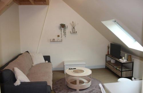 Chinon Apartamento | Le Saint-Georges - 2 à 4 pers - Ideal CNPE CHINON
