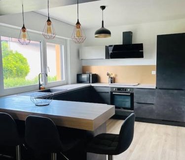 Thonon-les-Bains Apartamento | Le Saule