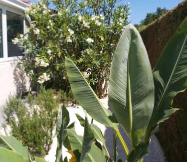 Angresse Cama Y Desayuno | Le Soleil Couchant