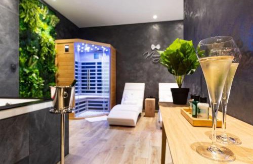 Agen Apartamento | Le SPA & Cocon - Jacuzzi - Sauna - Clim - Melina&Alfred