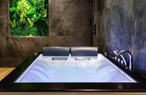 Agen Apartamento | Le SPA & Cocon - Jacuzzi - Sauna - Clim - Melina&Alfred